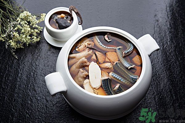 蛇肉是涼性嗎？蛇肉是涼性還是熱性？