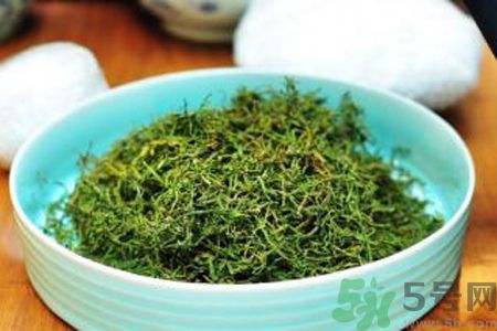 苦菜茶可以和綠茶一起喝嗎？苦菜茶可以和其他茶一起喝嗎？