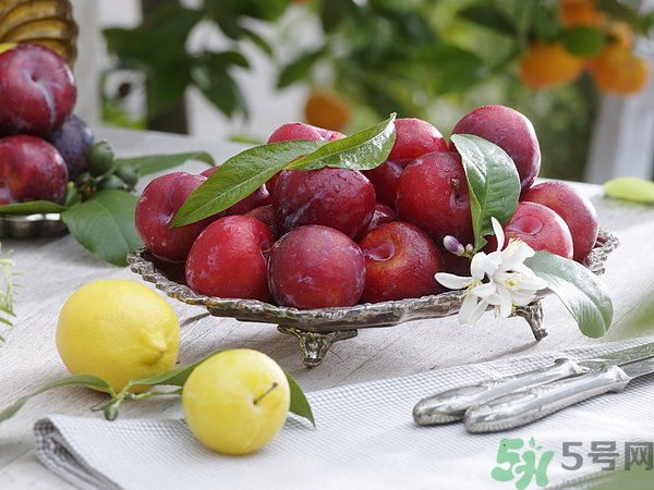 為什么說李子樹下埋死人？李子的食用禁忌有哪些？