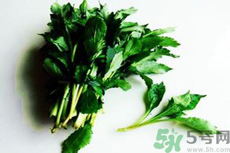 苦菜可以和蔥一起吃嗎？苦菜和蔥一起吃會(huì)怎樣？