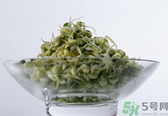 夏天吃綠豆芽可以清火嗎？夏天吃綠豆芽能降火嗎？