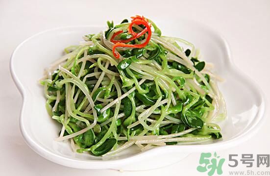 吃綠豆芽可以減肥嗎？吃綠豆芽有減肥作用嗎?