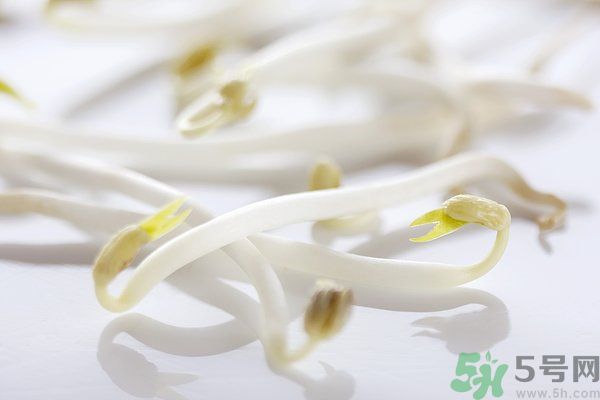 綠豆芽是涼性的嗎？綠豆芽是涼性還是熱性？