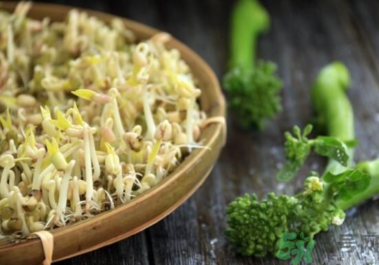 怎樣自己發(fā)綠豆芽？綠豆芽怎樣自己發(fā)？