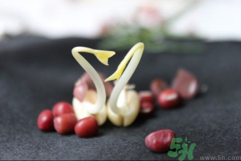 紅豆可以發(fā)豆芽嗎？紅豆芽可以吃嗎？