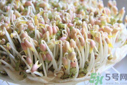 吃毛豆可以減肥嗎？吃毛豆有減肥作用嗎？