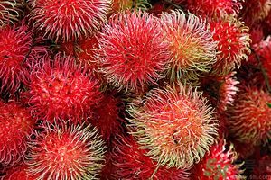 吃紅毛丹上火嗎？吃紅毛丹上火怎么辦？