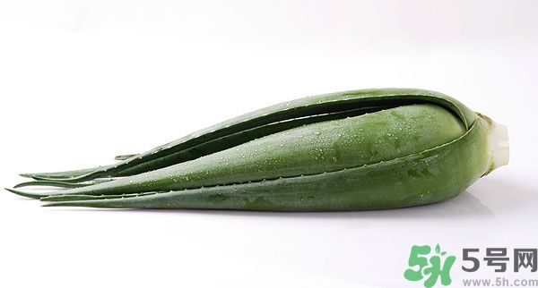經(jīng)期可以吃蘆薈嗎？經(jīng)期吃蘆薈會肚子痛嗎？
