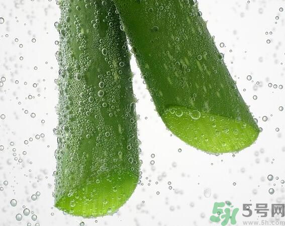 夏天吃蘆薈可以降火嗎？夏天吃蘆薈能清火嗎？