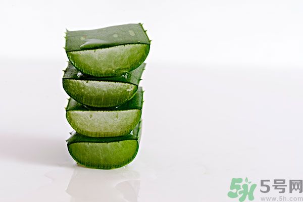 蘆薈是發(fā)物嗎？蘆薈是不是發(fā)物？