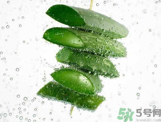 男性可以吃蘆薈嗎？男性吃蘆薈好不好？