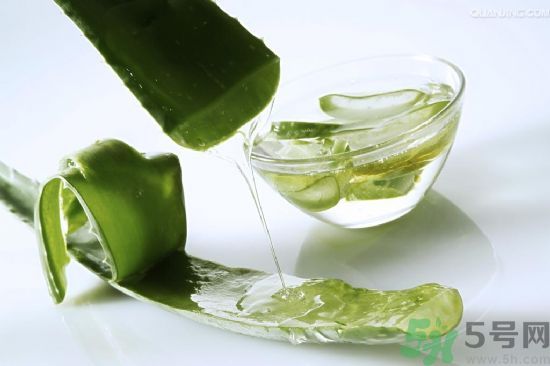 蘆薈酒有什么功效？蘆薈酒的功效是什么？
