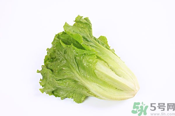 小孩可以吃生菜嗎？小孩吃生菜好嗎？