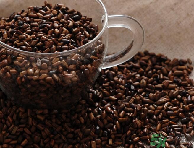 決明子泡茶喝可以減肥嗎？決明子泡茶喝有減肥效果嗎？