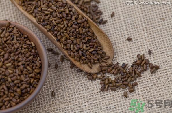 孕婦可以喝決明子茶通便嗎？孕婦通便可以喝決明子茶嗎？