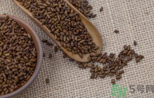 決明子泡茶加什么好？決明子和什么一起泡好？