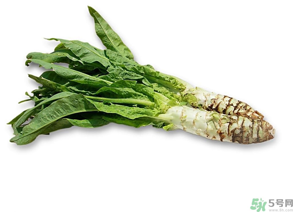 新鮮的萵筍怎么保存？削皮的萵筍怎么保存？