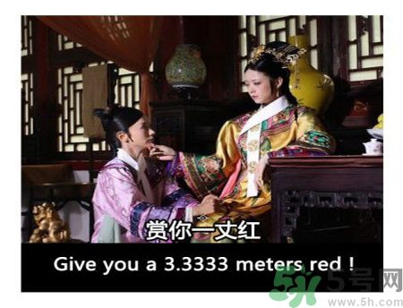 什么是蜀葵？蜀葵是一丈紅嗎？