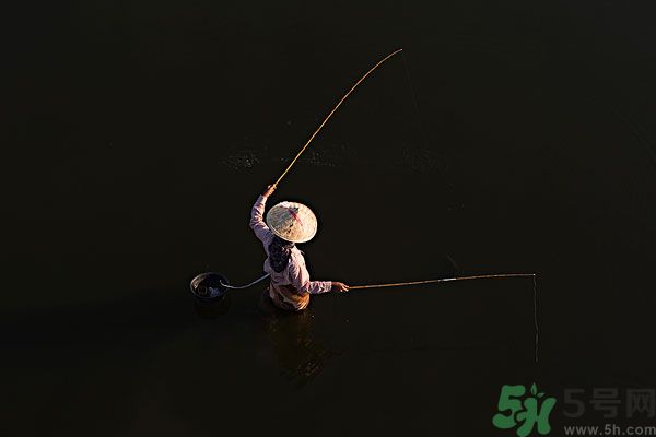 雷陣雨可以釣魚嗎？雷陣雨天氣適合釣魚嗎？
