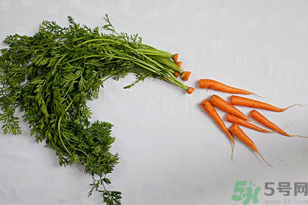吃西瓜能防曬嗎？吃巧克力能紫外線嗎？