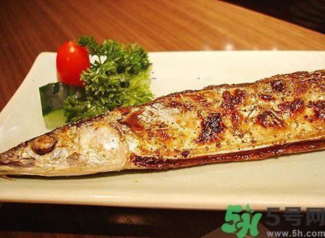 魚身上最有營養(yǎng)的地方是哪里？魚的功效與作用？