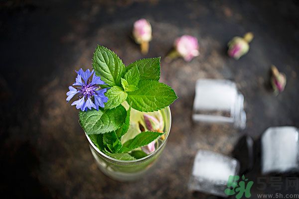 薄荷曬干泡茶有什么好處？薄荷曬干泡水的功效
