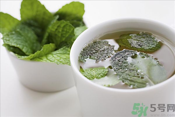 薄荷能美白嗎？薄荷的功效與作用