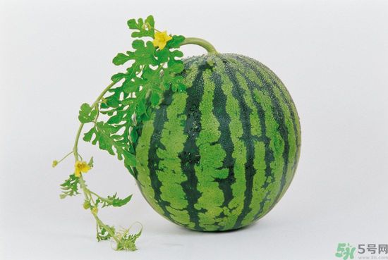 西瓜怎么挑熟的甜的？西瓜的儲存方法？