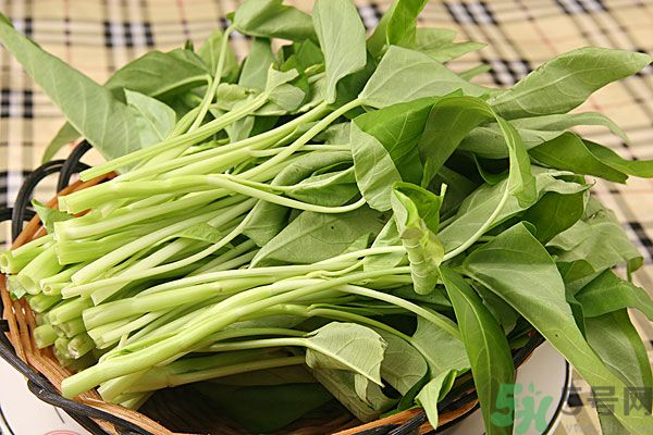 空心菜是菠菜嗎？空心菜是不是菠菜？