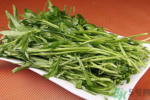 空心菜是菠菜嗎？空心菜是不是菠菜？
