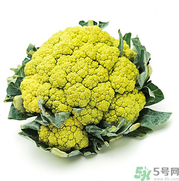 玉川和斯利安哪個(gè)好？葉酸片什么牌子最好？