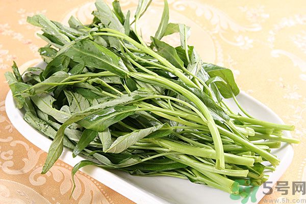 空心菜是菠菜嗎？空心菜是不是菠菜？