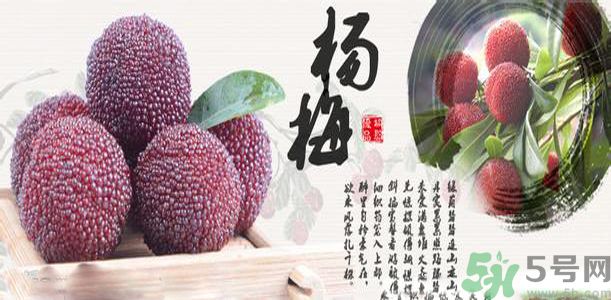 吃楊梅可以防止中暑嗎？中暑可以吃楊梅嗎？