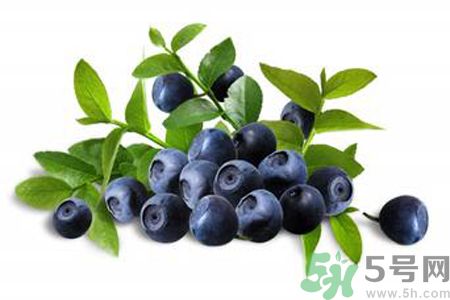 藍莓是不是發(fā)物？藍莓是發(fā)物嗎？