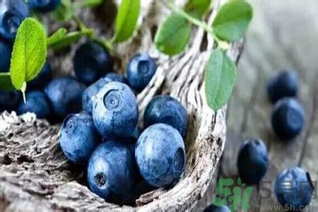 月經(jīng)期間可以吃藍莓嗎？來月經(jīng)可以吃藍莓嗎？