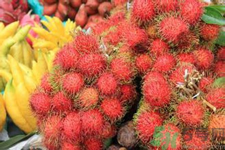 寶寶可以吃紅毛丹嗎？寶寶多大了可以吃紅毛丹？