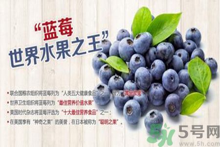 衣服上面染上了藍莓汁怎么辦？藍莓漬怎么清洗？