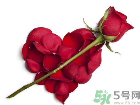 父親節(jié)送什么花好？父親節(jié)送什么花？