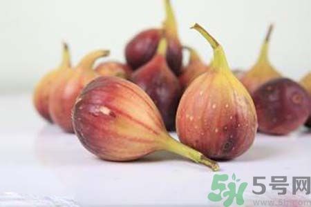 胃不好可以吃無花果嗎？胃不好吃無花果好嗎？