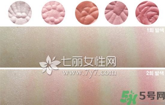 canmake花瓣腮紅色號對比圖？canmake五色花瓣腮紅試色