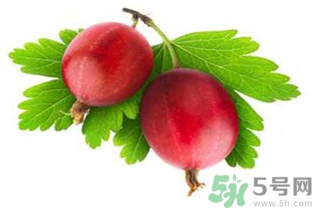 無(wú)花果酒有什么功效？無(wú)花果酒的做法