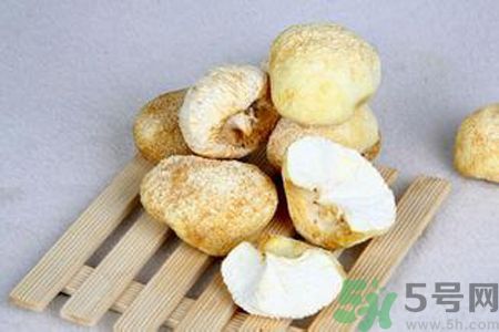  哺乳期可以吃猴頭菇嗎？產婦可以吃猴頭菇嗎？