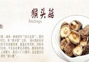  哺乳期可以吃猴頭菇嗎？產(chǎn)婦可以吃猴頭菇嗎？