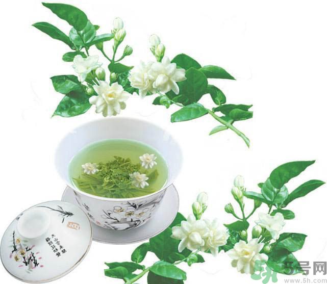 茉莉花茶是熱性還是涼性？茉莉花茶是涼性嗎？