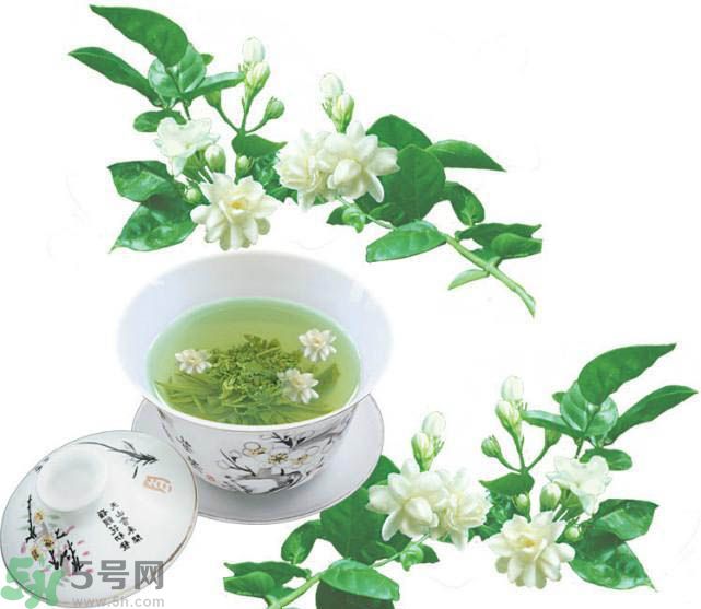 茉莉花茶可以減肥嗎？怎樣喝茉莉花茶可以減肥？
