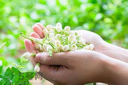 痛風可以喝茉莉花茶嗎？痛風喝茉莉花茶好嗎？