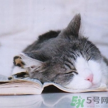 如何控油？如何控油祛痘？
