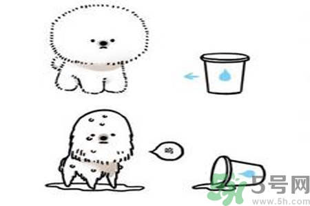 虛胖是什么原因？虛胖怎么辦？