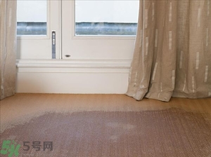 房間潮濕怎么辦？房間潮濕如何解決？