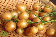 黃皮果是酸性還是堿性？黃皮果是堿性嗎？
